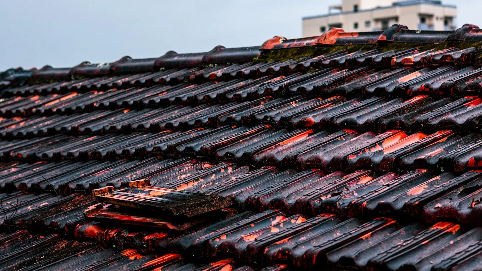 Close-up of storm-shattered roof tiles after a hail event