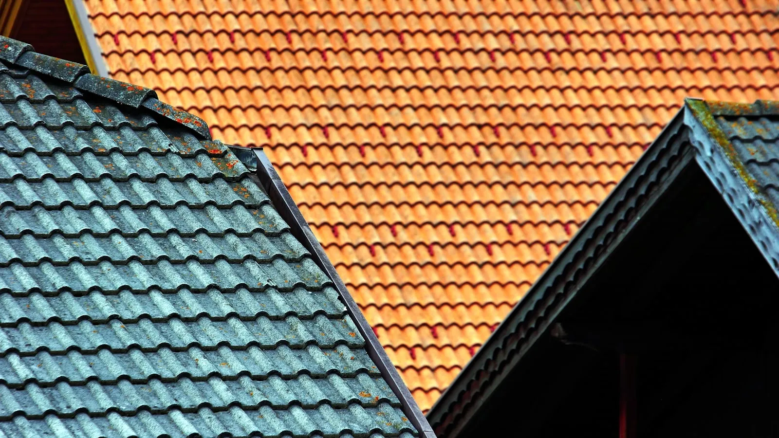Contrasting rooflines showing tile and metal roofing side by side