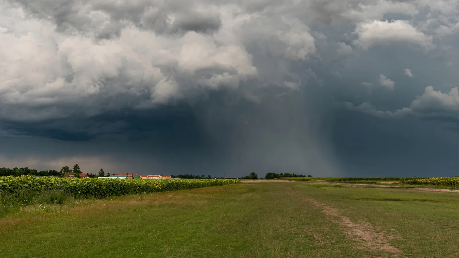 Dark hail storm cell moving across the Colorado plains